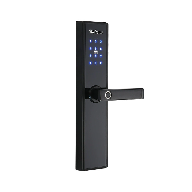 Умный дверной замок TTLOCK с дистанционным доступом через приложение Tongtong, отпечаток пальца, гостиничный IC-карта, замок appartement homestay