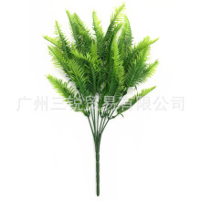 ����ֲ��ާ� 7������ާˮ�� ��˹�� �Ҿ��b�����ٻ��ٲݾGֲ��