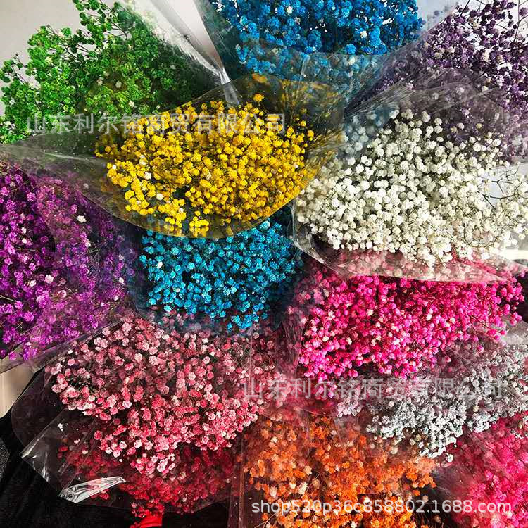 干花染色剂 永生花染料 鲜花色粉 果壳染色剂 干植物染色剂