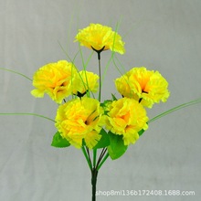 �ɶ������l���滨7�䶡�㻨 ����ܰ��������  �������ѻ�