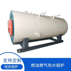 燃气锅炉;蒸汽发生器;燃油锅炉
