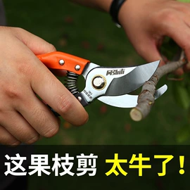 修枝剪;手锯、木工锯;其他园林工具