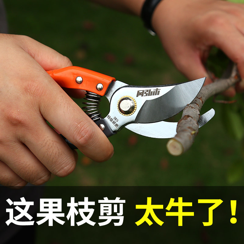 Pruning scissors SK5 fruit tree pruning scissors gardening flower scissors special garden fruit pruning shears labor-saving shears
