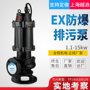 BQW������ˮ��380V������ˮ���۱�220V��������ˮ�õV��EX���۱�