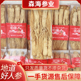Jilin Changbai Mountain Dry Ginseng Soaking Wine Special 500g Ginseng Powder Chinese Herbal Medicine Five Years White Whole Must Sun Ginseng