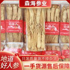 干人参泡酒专用500g人参打粉中药材五年白全须生晒参人参粉