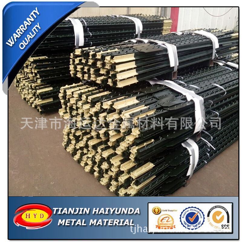 绿色喷塑T型疙瘩柱/绿色带白头T型钢桩理计天津现货