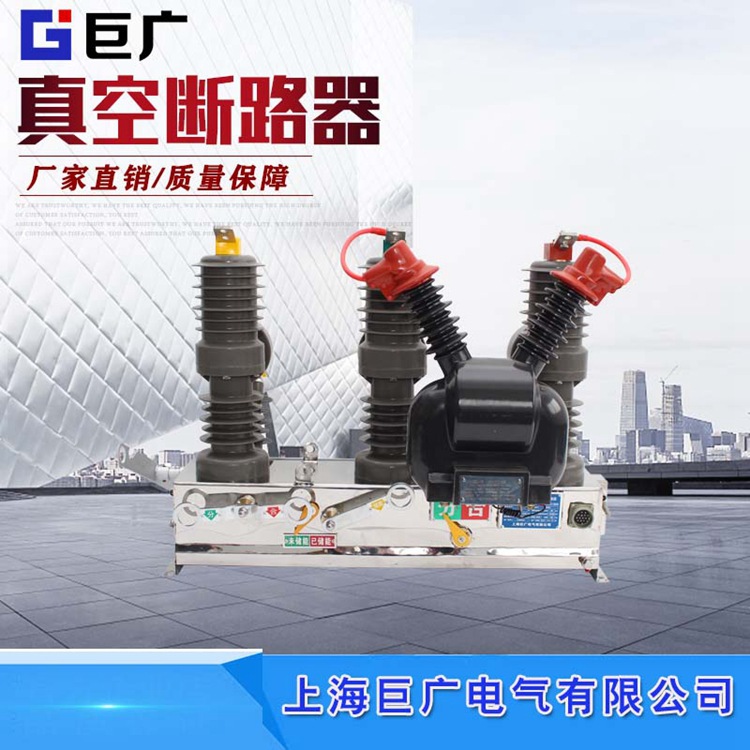 厂家批发ZW32-12F看门狗ZW32-12F/630电动看门狗户外柱上真空开关