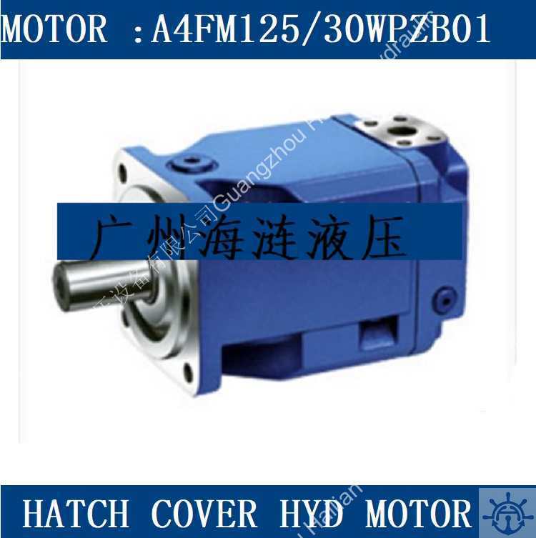 A4FM125/30WPZB01舱液压马达hyd motor luffing crane macgregor