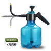 Capacious sprayer, tools set, spray, teapot