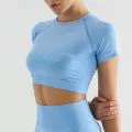 Спортивный топ для зала, шорты, быстросохнущие брюки, одежда для йоги, комплект, европейский стиль, для бега, с коротким рукавом