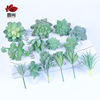 SET0857 Simulation Merk Combination Indoor Decoration Single Polyngers Poor Photo Flower Plant Plele Poly Successful succulent