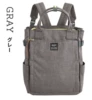 Gray [GY]