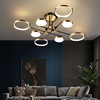 Scandinavian LED lights, ceiling lamp for living room for bedroom, light strip, light luxury style, wholesale