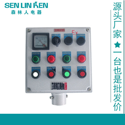 explosion-proof operation Manufactor Supplying aluminium alloy vertical explosion-proof operation Long-range On the spot explosion-proof Distribution box