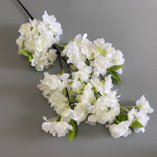 ����ѻ��҃��k���b�c���՚���b���ֲ���ѻ�֦�������l
