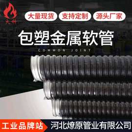 P3型包塑金属软管中标8-125阻燃管包塑管金属软管电缆电线管蛇皮