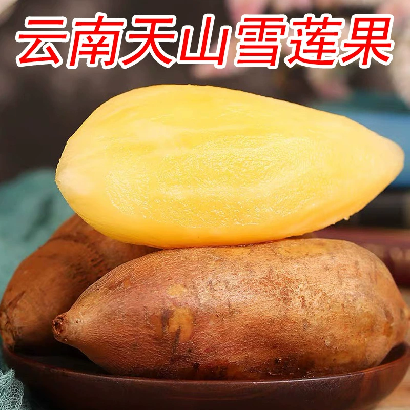Корень снежного лотоса Тяньшань из Юньнани, свежесобранный, красный глинистый плод, хрустящий и сладкий, сезонный, 4.5kg шт.