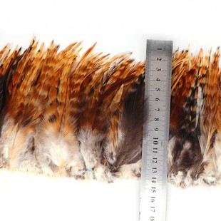 �S�����l�t�J���uë5-6�t�J����t�J����ëë���^�ˇƷ����