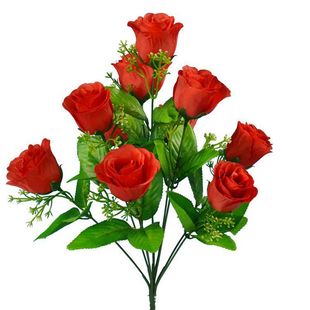 �S��һ��؛Դ���潁������õ�廨10�^����10�^��ȸõ�ѻ�