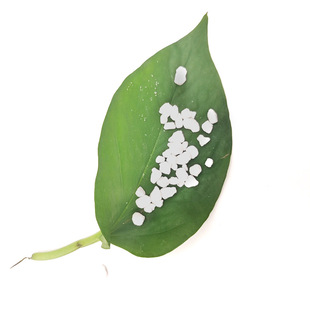 �S�ҹ��� ������w���o�� �o������� �ṩ��Ʒ