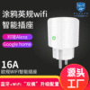 欧规涂鸦wifi智能插座手机定时开关语音远程遥控欧标德标16A插头|ms
