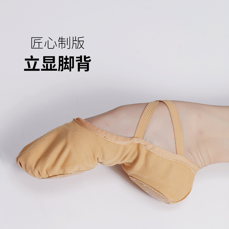 Zapatos de baile para adultos zapatos de baile zapatos de práctica profesional de las mujeres zapatos suaves de ballet niñas de baile étnico zapatos de garra de gato de fondo suave