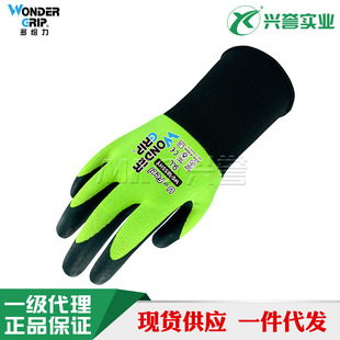 ��o��WG-1855HY U-Feel����l���|�������`�����m��܇�S�� �@ˇ