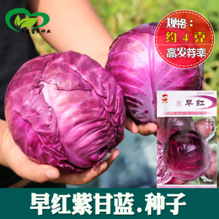 ��t���{�N�� �r��ˈ@�������~��A���~Ƭ�ϼt�ϸ��{�߲���