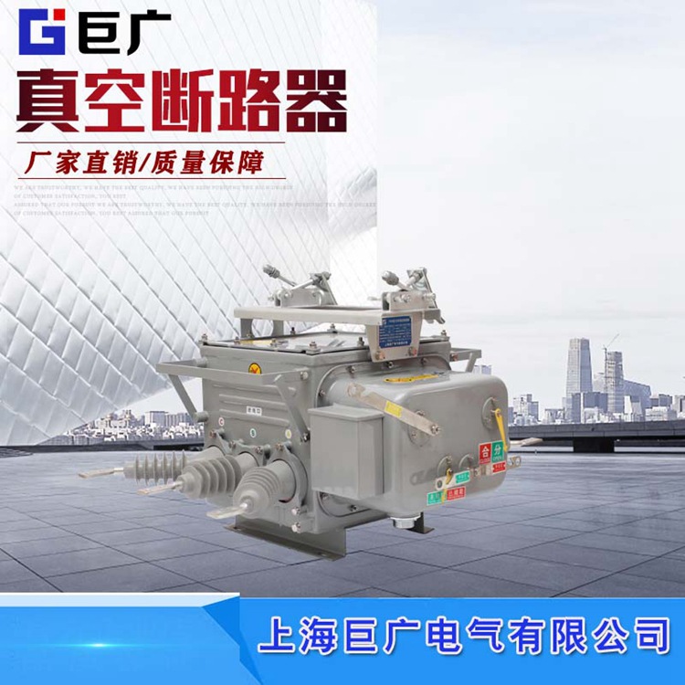 ZW20-12F/630智能分界真空断路器带看门狗 ZW20-12F分界真空开关