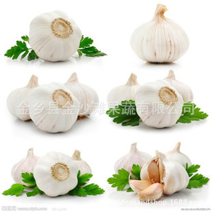 ���l����  ���L�ڹ�؛  �S��ֱ�N ���� �r�񃞻�