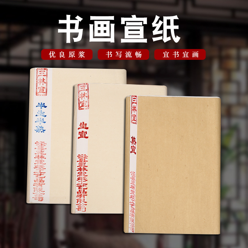国画工笔画初学者书法专用练习生宣纸熟宣纸写毛笔字四尺半生宣熟