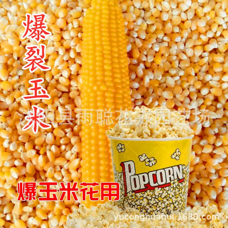 Попкорн, кукуруза, попкорн