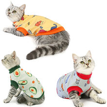 猫咪衣服秋冬装新款宠物小猫衣服宠物服装冬季20猫咪牛奶丝卫衣