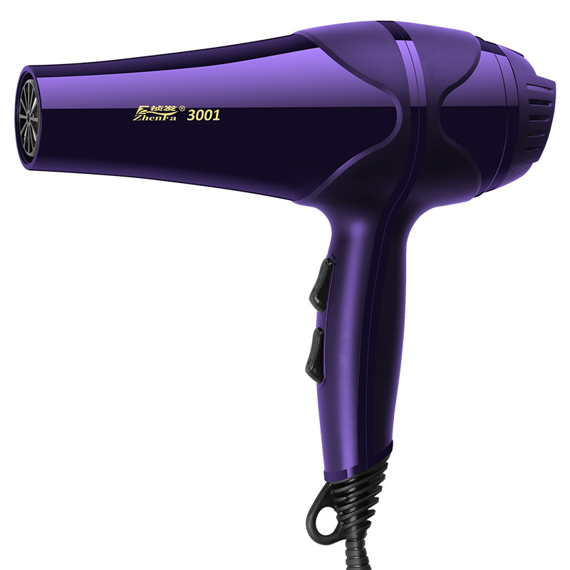 Secador de Pelo Profesional Termostático 3 Velocidades de Nailon PA para Hogar y Peluquería