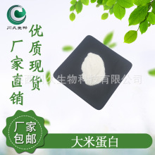大米蛋白粉  川久生物多规格现货 大米粉 大米水解蛋白 大米淀粉