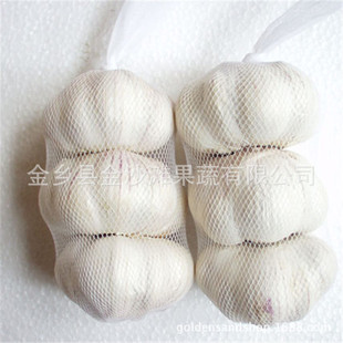 �������r����  ���� �r�񃞻� �gӭ�����xُ