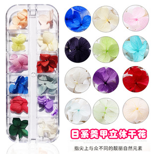 ��ϵ������Ȼ���w�ɻ���ɫ������ꖻ�������DIYָ�׸ɻ��Ʒ12ɫ