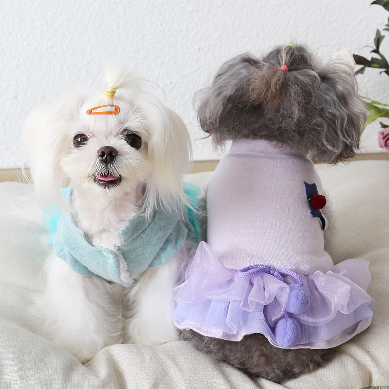 Petstyle 2020¿ ǹСèɴɴȹèȹ·ﶬװ
