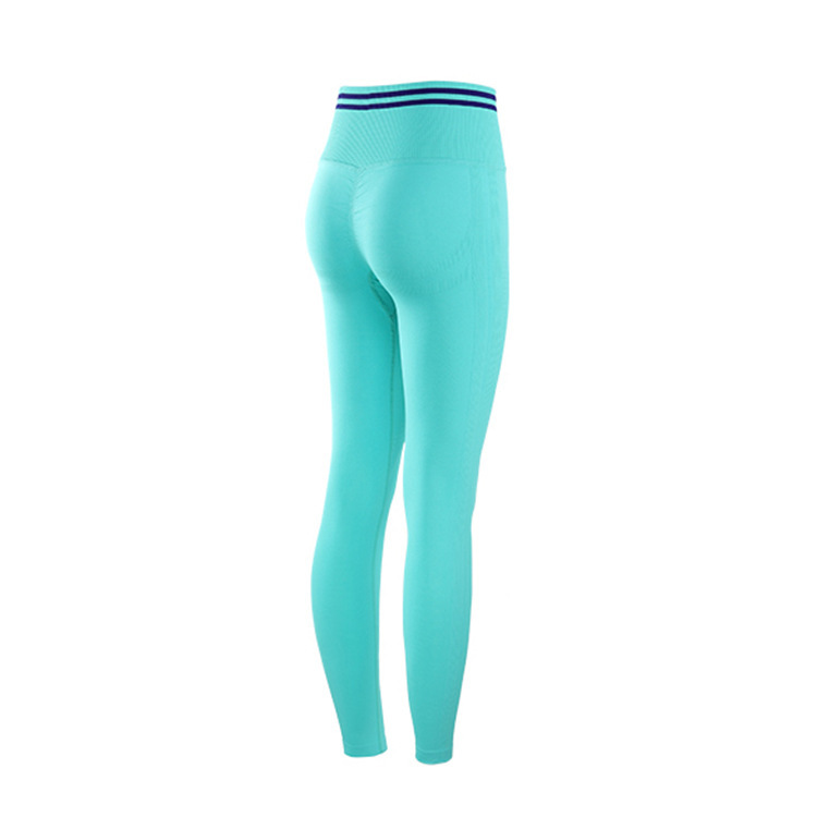  fitness yoga shorts