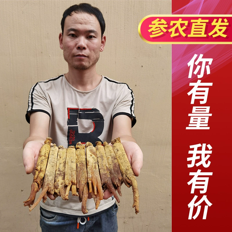 Корейский женьшень желтый жилет 6-летняя желтая кожа специальный женьшень красный женьшень цельный корейский женьшень оптом подарочная коробка 500 г