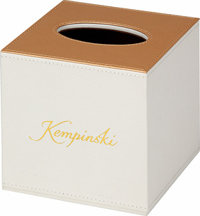 �Ǽ��Ƶ�ͷ���ƷƤ�����b�ɶ������в��~���c��ָ��ӡLOGO