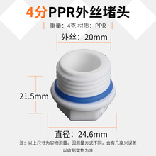 4分家用PPR外丝内丝堵头内外牙丝堵头PPR水管管件配件闷头