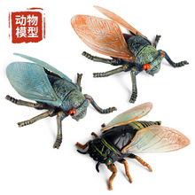 儿童仿真动物模型静态实心野生昆虫蝉知了金蝉蛣蟟塑胶玩具摆件
