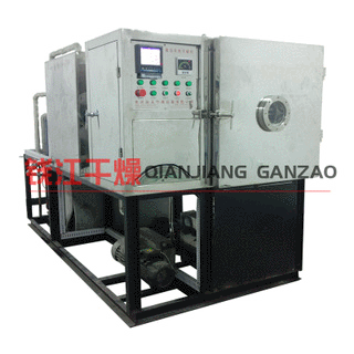 桑葚冻干机 蓝莓果干用真空冷冻干燥机 食品低温冻干设备