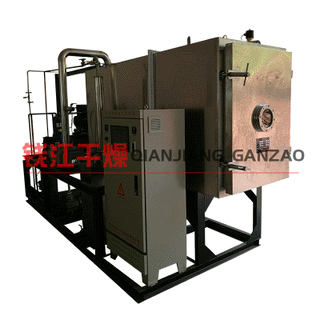 榴莲冻干机 水果真空冷冻干燥机 10平方哈密瓜 蜜饯 人参烘干设备