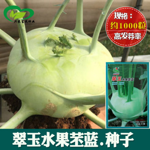 ˮ�����{�N�� �r��ˈ@���������^�˴��������{�߲������l