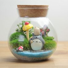 苔藓微景观生态玻璃瓶 软木塞圆形密封储物罐 高硼硅透明玻璃批发