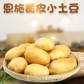 苹果;橙;块茎类