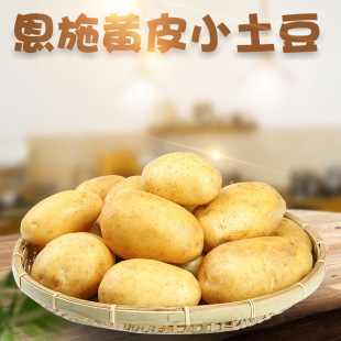 ������ʩ�����SƤС���� ���l3/9�����r�S����Ŵ�R��푪���߲�